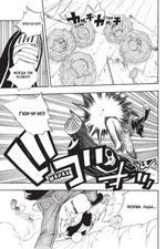 Fairy Tail. Хвост Феи. Том 14