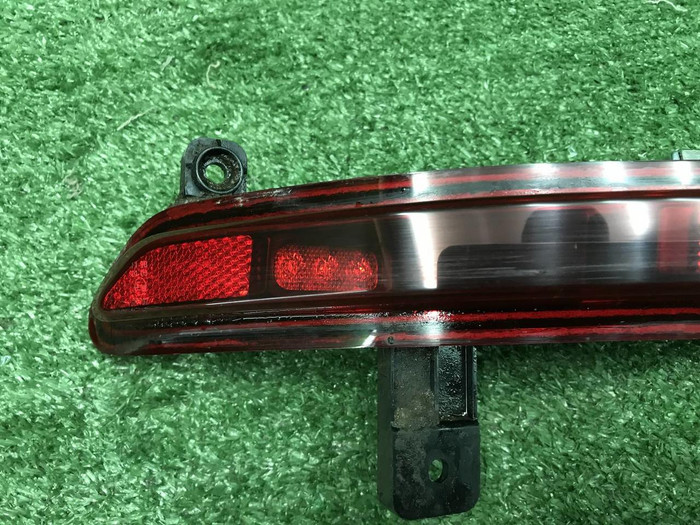 IMG_5652.jpg