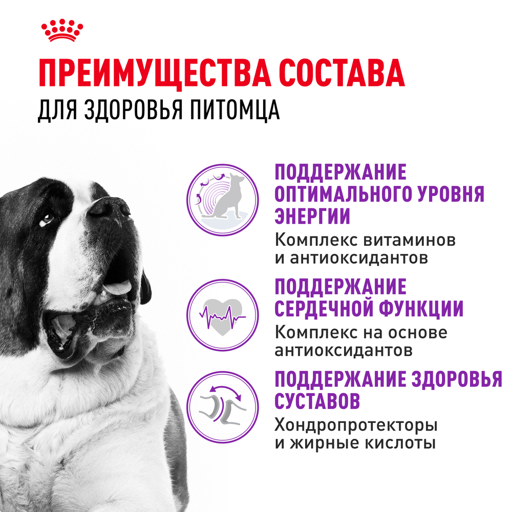 Royal Canin Giant Adult Джайнт Эдалт Корм сухой для взрослых собак очень крупных пород от 18 месяцев 15кг