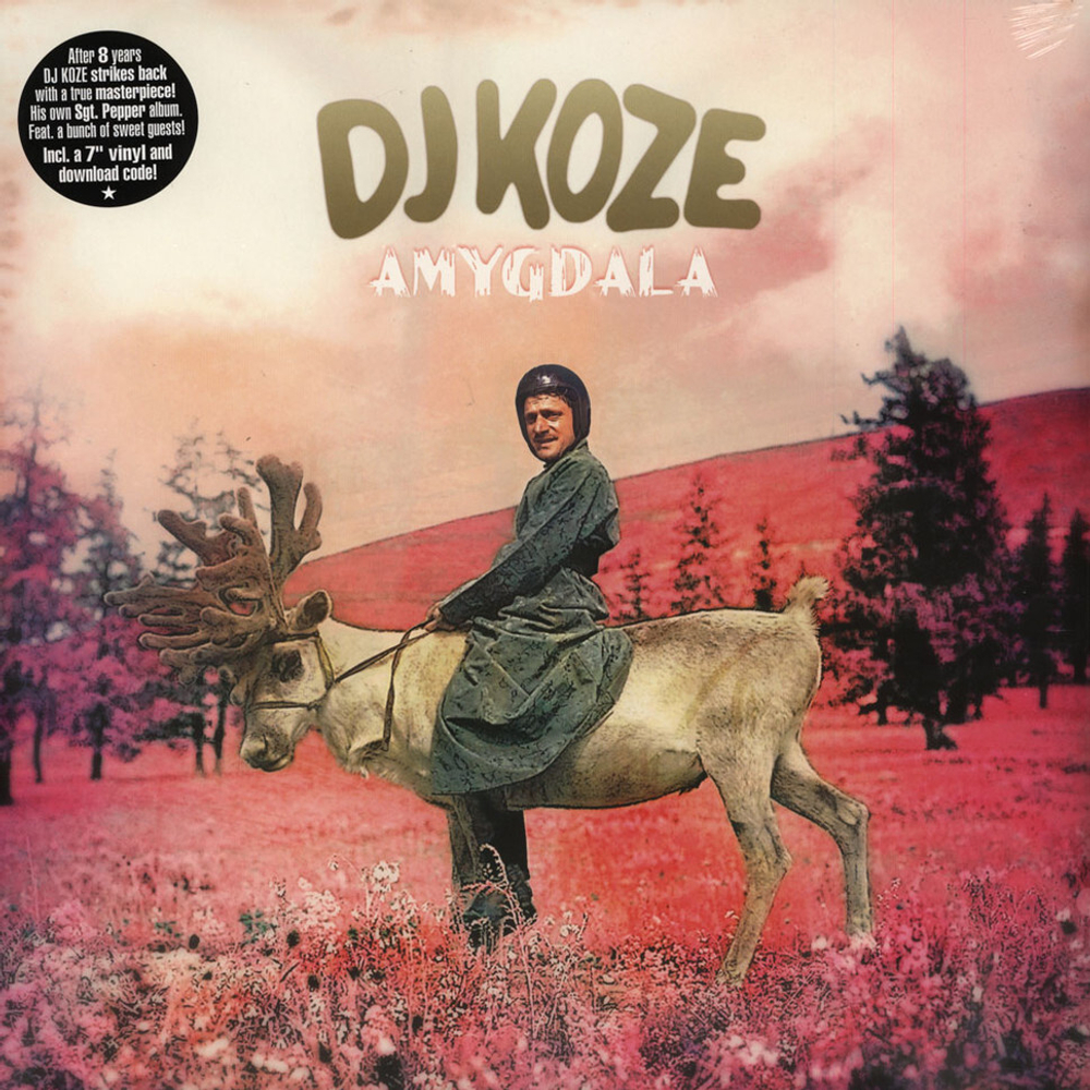 Dj Koze	Amygdala