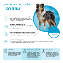 Корм сухой для взрослых собак породы Колли, премиум полнорационный комплекс, с лососем, 12 кг, QUATTRO