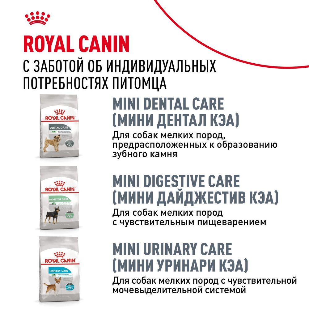 Royal Canin Mini Dermacomfort Мини Дермакомфорт Корм сухой для взрослых собак мелких пород для профилактики раздражения и зуда кожи 3кг
