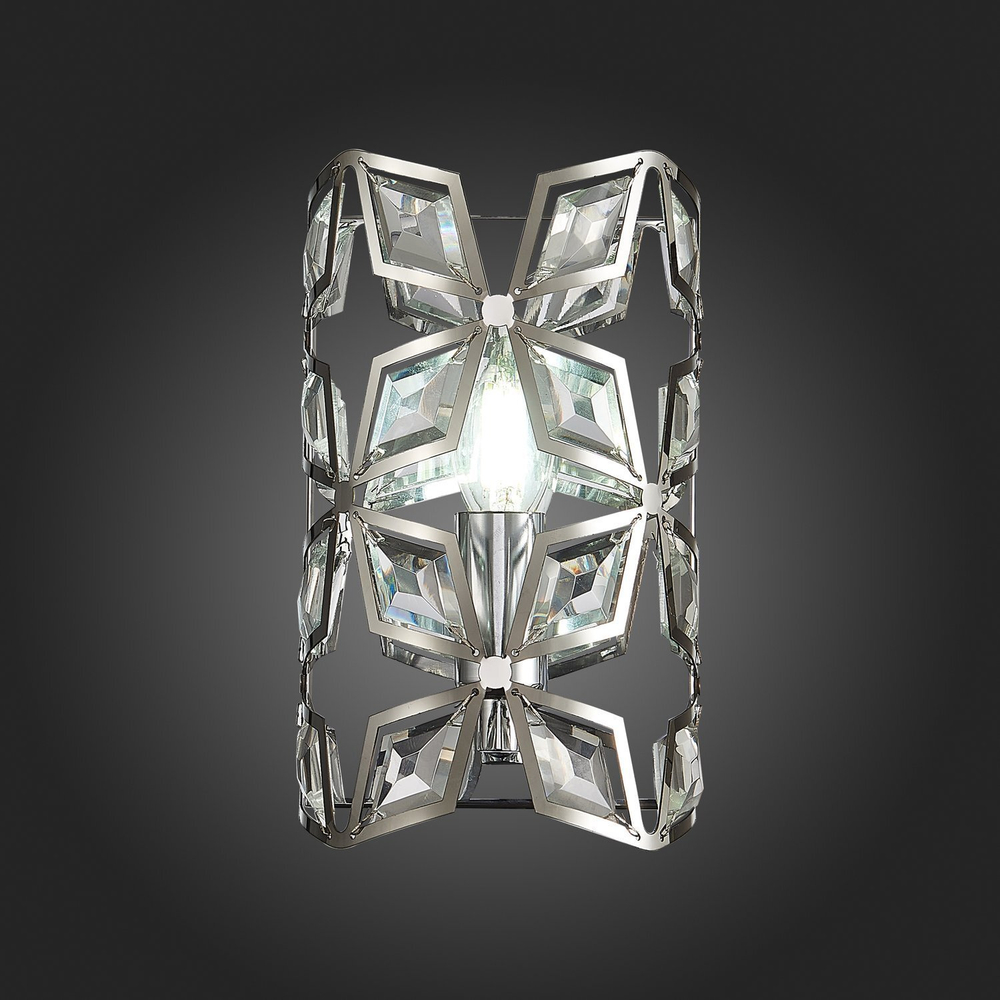 Светильник настенный ST Luce Casto SL1104.101.01