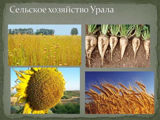 Уральский экономический район. Социально-экономическая карта