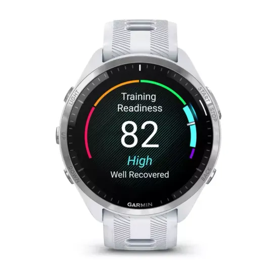 Спортивные часы Forerunner 965 белые 010-02809-11