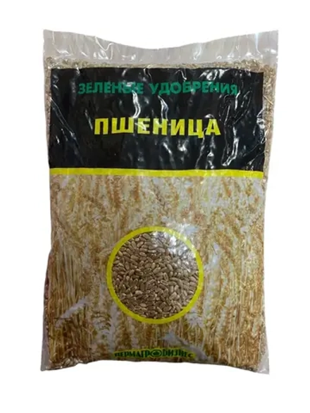 Сидерат семена Пшеница, 1кг
