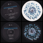Rammstein / XXI (Limited Edition)(14LP)