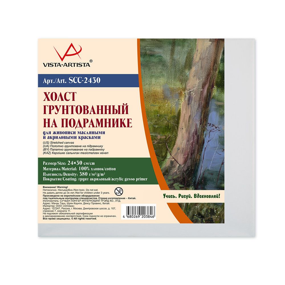 Холст на подрамнике грунтованный 24х30 см, 380 г/м², 2 шт, среднезернистый, Vista-Artista SCC-2430