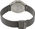 Мужские наручные часы Skagen SKW6460