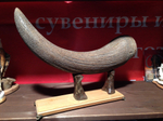 Рог первобытного бизона