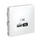 Розетка с USB A+C Systeme Electric ArtGallery Белый GAL000129