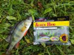 Мягкая приманка Lucky John Series ALIEN BUG 1,5in (38 мм), цвет T44, 10 шт/уп