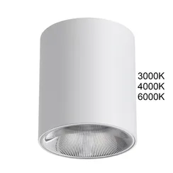 Точечный светильник Brim 7139/12CL Odeon Light