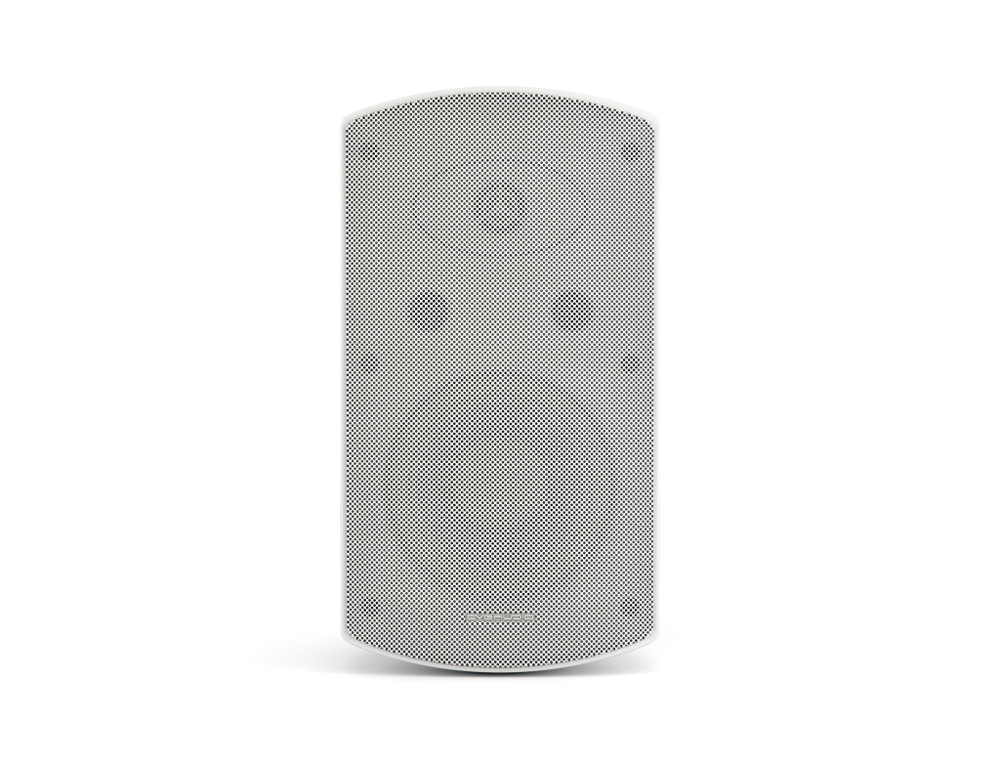 CVGAUDIO RF616TW Двухполосная настенная акустическая система