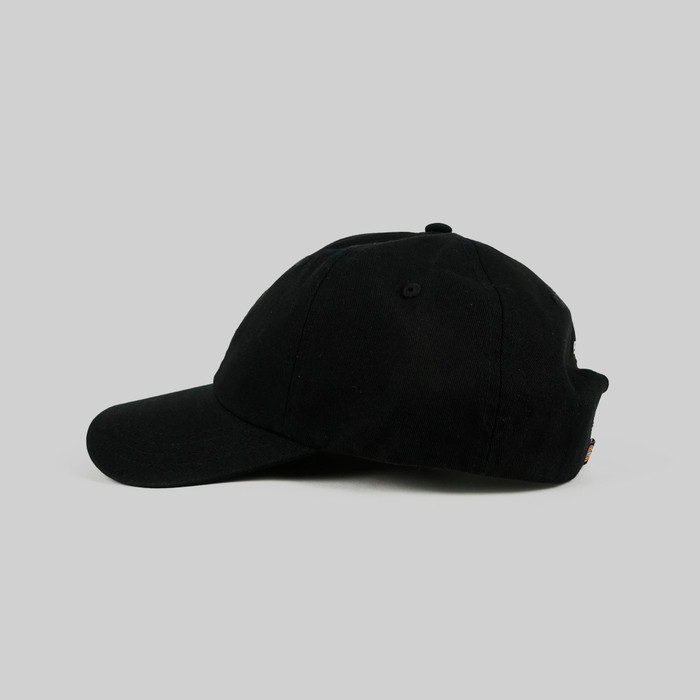 Кепка Dickies 6 Panel Logo артикул:DK0A4TKVBLK1 - купить в магазине Дайс