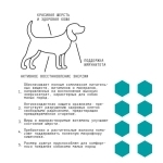 AJO (Айо) Dog Mini Adult Сухой полнорационный корм с гречкой для взрослых собак малых пород