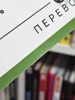 Экслибриум. Том 8: Переворот. Уценка