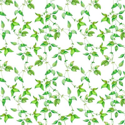 Seamless watercolor pattern of green leaves of creeper.