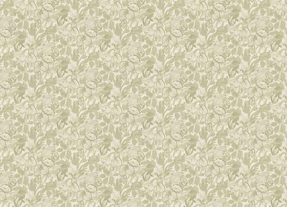 Novella