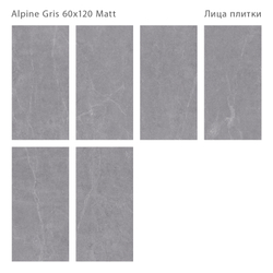 ALPINE GRIS 60x120 MATT
