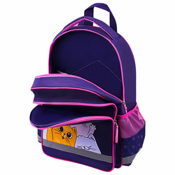 ПИФАГОР Рюкзак ПИФАГОР SCHOOL, 1 отделение, 3 кармана, Cat greetings, 272087