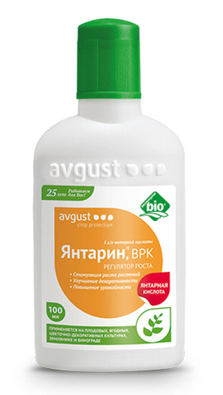 Янтарин август 100мл