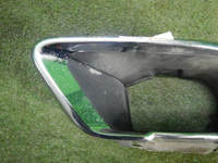 DSCN6276.JPG