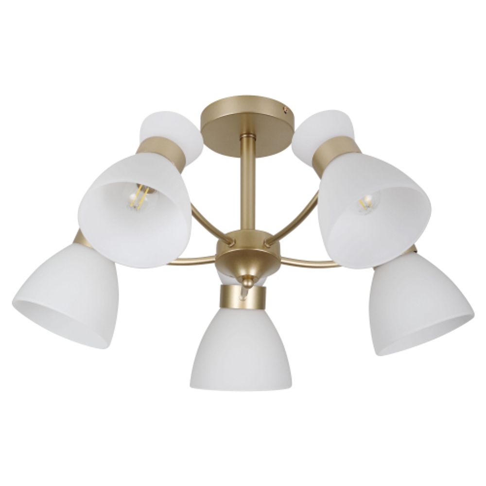 Люстра Rivoli Wendy 9184-305 5хЕ27 60 Вт модерн | Rivoli