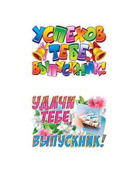Набор плакатов "Удачи тебе, выпускник!", 34х48см, 2 шт.