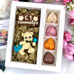 Шоколадный набор "С 1 сентября. Мишка с портфелем»: шоколадка-надпись и 4 конфеты ручной работы
