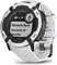 Умные часы Garmin Instinct 2X Solar Whitestone (010-02805-04)