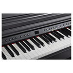 Artesia DP-3+ PVC RSW