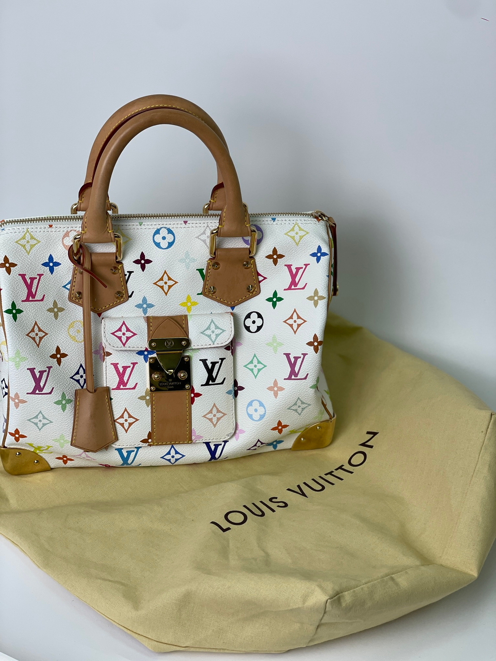 Сумка Louis Vuitton Speedy 30 Multicolor