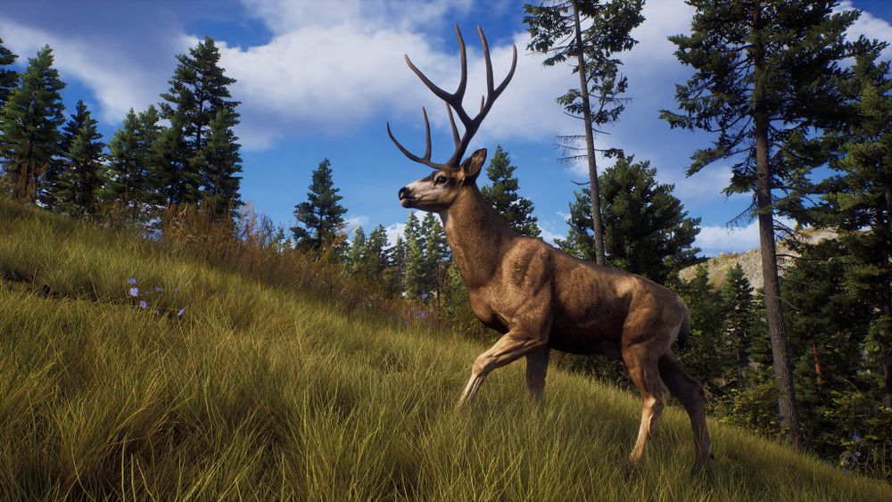 Way Of The Hunter PS5
