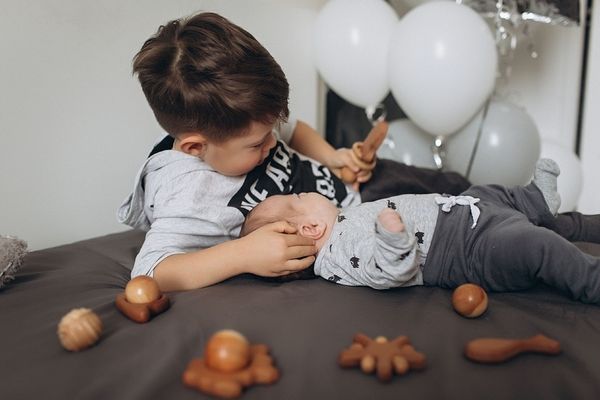 Из какого дерева сделаны игрушки Леснушки? Дерево клен. Из какого дерева сделаны игрушки Леснушки? Дерево клен.