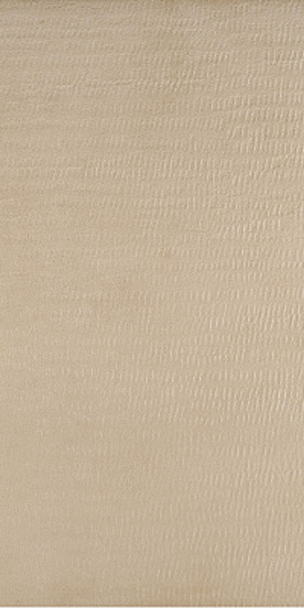 Керамогранит DECORATORI BASSANESI TRAX Hard Camel 45х90 арт. TR45CHARD9 9мм.