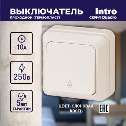 Переключатель Intro Quadro 2-103-02 одноклавишный 10А-250В, IP20, ОУ, Quadro, слоновая кость | Intro