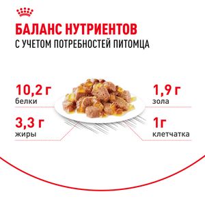 Пауч Royal Canin Indoor Sterilized 7+ для кошек в возрасте от 7 до 12 лет, живущих в помещении, небольшие кусочки в желе