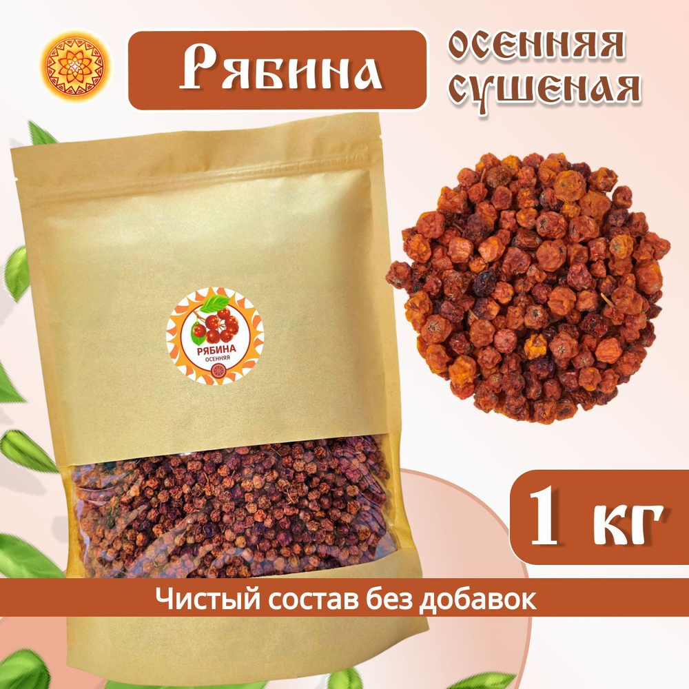 Рябина Алтайская "Осенняя"