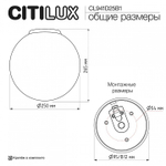 Накладной светильник Citilux RON CL941D25B1