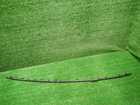 DSCN6749.JPG