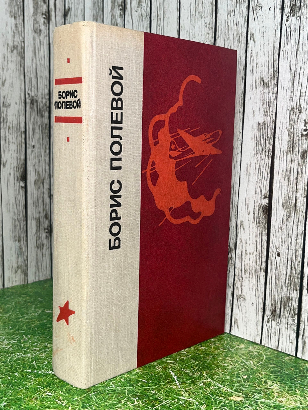 Книга "Повесть о настоящем человеке/Доктор Вера"