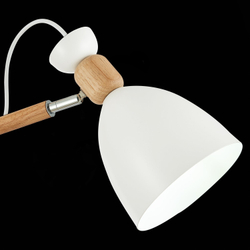 Светильник потолочный Evoluce Balcamo SLE103802-03