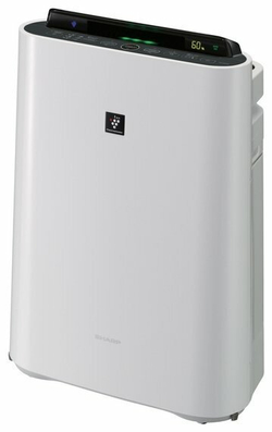Очиститель воздуха Sharp KC-D41RW