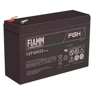 FIAMM FGH