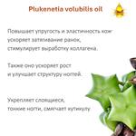 Масло сача инчи, нерафинированное