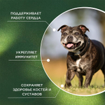 Функциональная кормовая добавка для собак и кошек ProPhyto Сеньор Саппорт, 100 таблеток