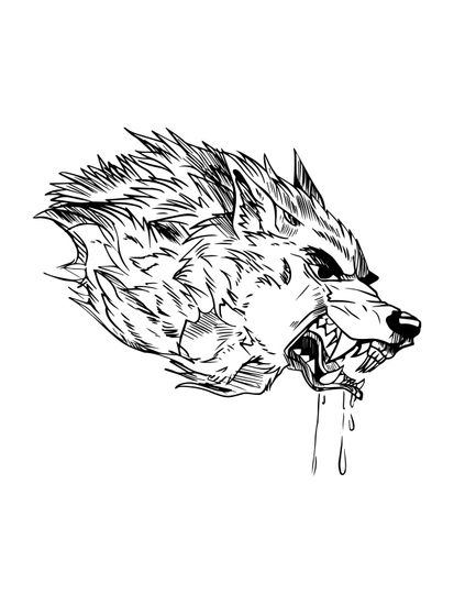 aggressive wolf