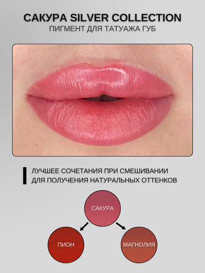 Пигменты «Silver Collection» A. Sivak. - Пигмент для татуажа бровей "Сакура"