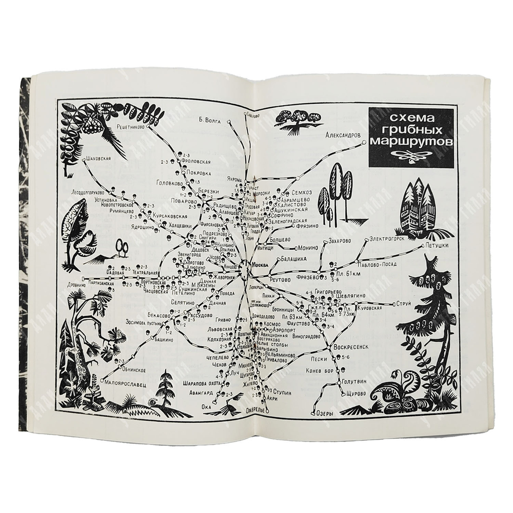 Справочник московского грибника. М. Издательство Реклама. 1971 г.